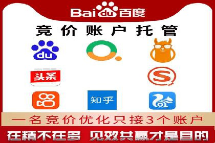 百度竞价排名服务：实战案例解析与优化技巧
